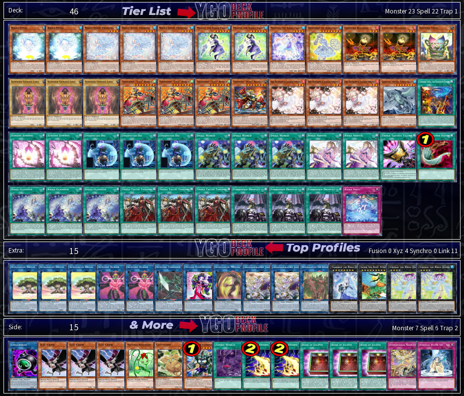 1st Place YCS Dortmund Therion Sunavalon Rikka Deck